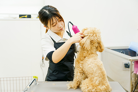 動物病院のサロンだからできること